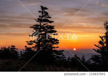 [Gunma Prefecture] Early summer dawn at Shibu Pass: A spectacular view from the highest point on the national highway 119837841
