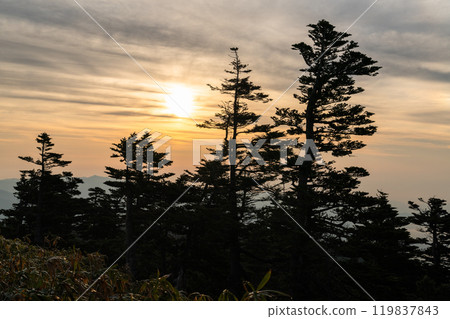 [Gunma Prefecture] Early summer dawn at Shibu Pass: A spectacular view from the highest point on the national highway 119837843