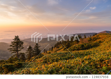 《Gunma Prefecture》 View of the highest point of the national highway at dawn in Shibutoge 119837938