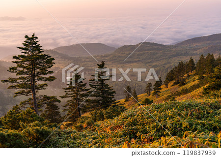 《群馬縣》 Shibutoge黎明時的國道最高點 119837939