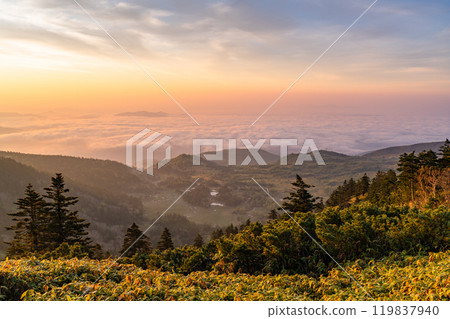 《Gunma Prefecture》 View of the highest point of the national highway at dawn in Shibutoge 119837940