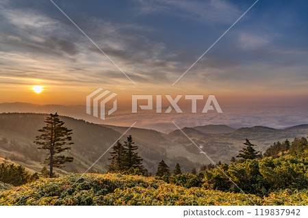 《Gunma Prefecture》 View of the highest point of the national highway at dawn in Shibutoge 119837942