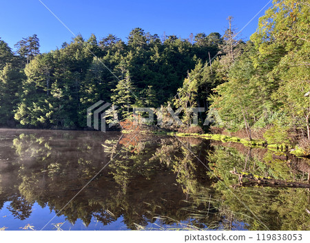 Morning sunlight and Shirakome Pond 119838053
