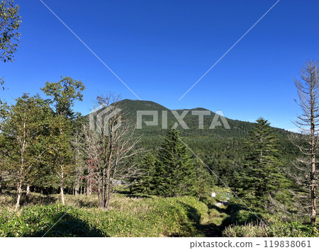 View of Chausuyama and Shimagareyama from Mugikusa Pass 119838061