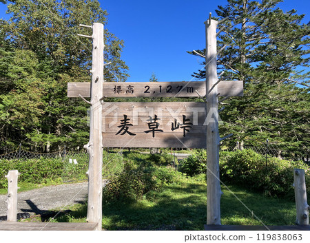 小麥草通行證 小麥草通行證 119838063