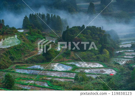 [Niigata Prefecture] Foggy autumn weather at Hoshi Pass and rice terraces, early morning 119838123