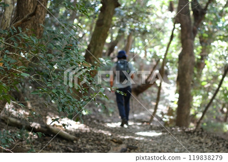 一個男人沿著光線照耀的森林裡的健行路線行走 一個男人沿著光線照耀的森林裡的健行路線行走 119838279