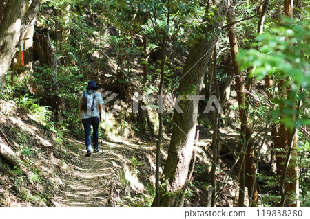 一個男人沿著陽光照耀的森林裡的健行路線行走 一個男人沿著陽光照耀的森林裡的健行路線行走 119838280