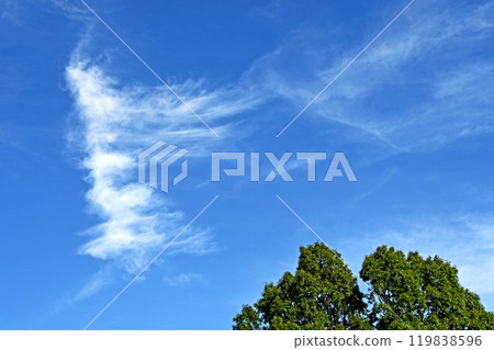 Cirrus clouds in the autumn sky 119838596