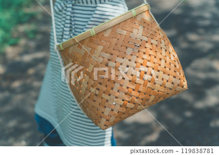 拿著收穫籃的年輕女子 拿著收穫籃的年輕女子 119838781