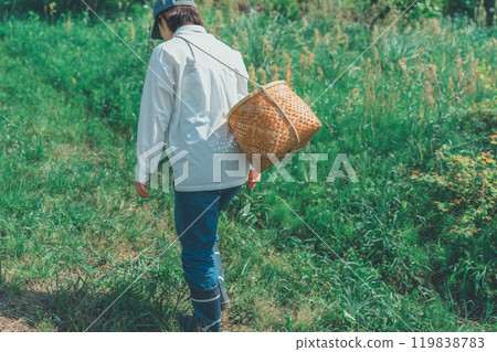Young woman carrying a harvest basket in the mountains 119838783