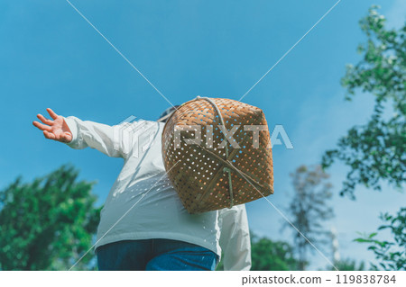 Young woman carrying a harvest basket in the mountains 119838784