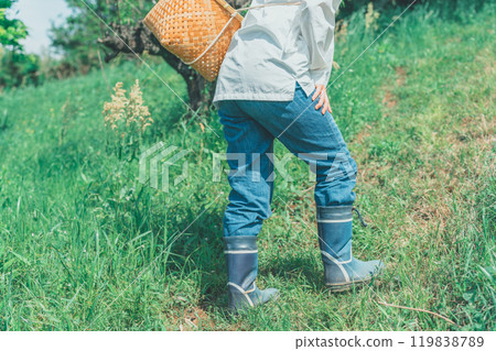 Young woman carrying a harvest basket in the mountains Young woman carrying a harvest basket in the mountains 119838789