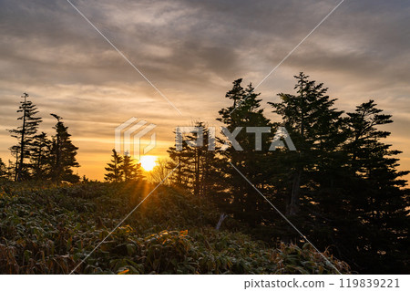 [Gunma Prefecture] Early summer dawn at Shibu Pass: A spectacular view from the highest point on the national highway 119839221