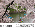 千鳥淵公園的櫻花與小船 119839375