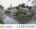 千鳥淵的櫻花 119839380