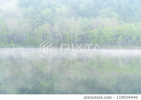 《長野縣》初夏的新鮮綠池堂・滋賀高原 119839440