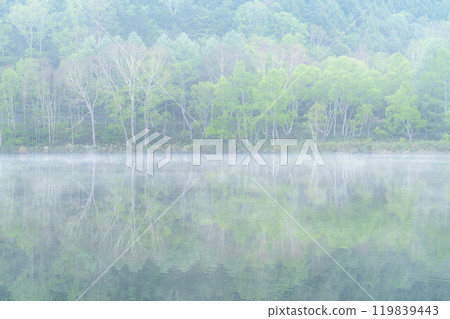 《Nagano Prefecture》 Fresh green Kido pond・Shiga Kogen in early summer 119839443