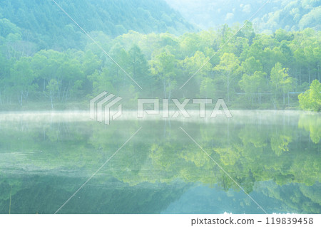 《長野縣》初夏的新鮮綠池堂・滋賀高原 119839458