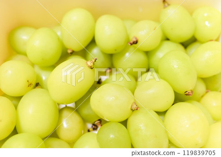 Direct from the pros - How to preserve Shine Muscat grapes to keep them fresh for a long time Direct from the pros - How to preserve Shine Muscat grapes to keep them fresh for a long time 119839705