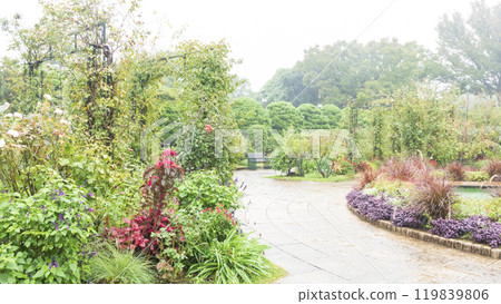 Autumn at Minato Mirai Park 119839806