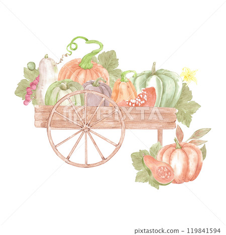 Hand drawn watercolor ripe pumpkins and leaves in the wooden cart isolated on white background. Rural illustration Can be used for postcard, label, scrapbook and other printed products. Hand drawn watercolor ripe pumpkins and leaves in the wooden cart isolated on white background. Rural illustration Can be used for postcard, label, scrapbook and other printed products. 119841594