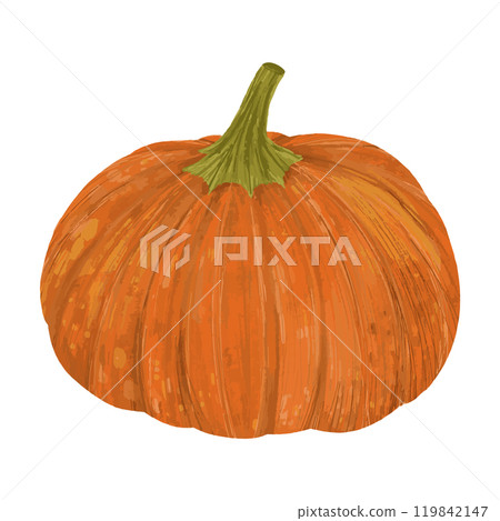 Vegetable pumpkin. Vector. Autumn pumpkin symbol for Halloween or Thanksgiving. Flat design. Vegetable pumpkin. Vector. Autumn pumpkin symbol for Halloween or Thanksgiving. Flat design. 119842147