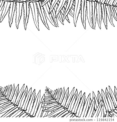 Frame with fern leaves. Fern leaf drawing in flat style. Autumn seasonal background  119842154