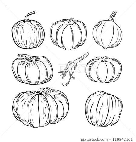 Set of hand drawn pumpkins. Sketch style icon. Decor element. Isolated on white background. Set of hand drawn pumpkins. Sketch style icon. Decor element. Isolated on white background. 119842161