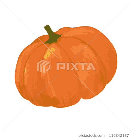 Vegetable pumpkin. Vector. Autumn pumpkin symbol for Halloween or Thanksgiving. Flat design.  119842187