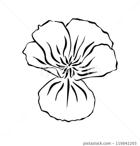 black and white line illustration of Eschscholzia flower on a white background 119842203