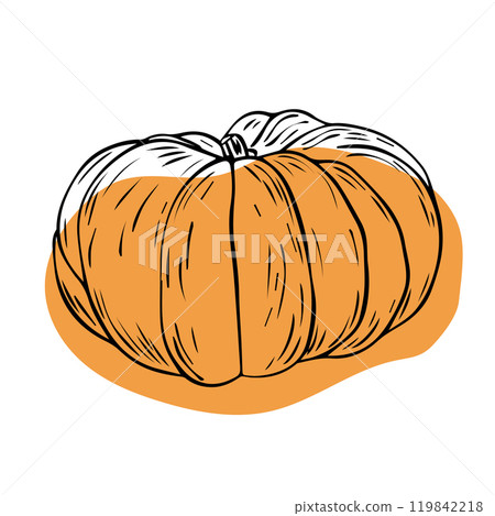 Hand drawn pumpkin sketch with color spot. Sketch style icon. Decoration element.  119842218