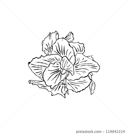One continuous line drawing of beauty fresh canna for garden logo. Decorative canna lily flower One continuous line drawing of beauty fresh canna for garden logo. Decorative canna lily flower 119842224