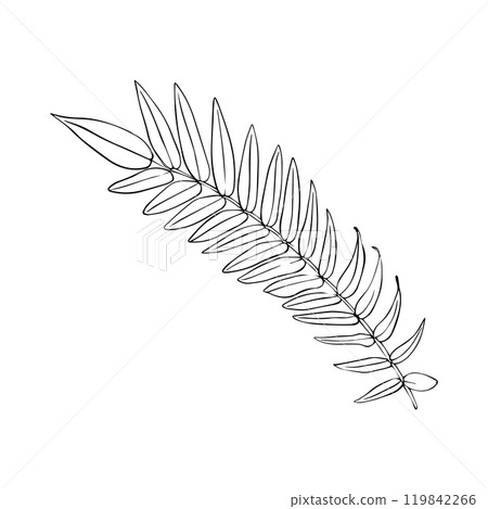 Unicorn sumac leaf drawn in line style. Rus Staghorn sumac Unicorn sumac leaf drawn in line style. Rus Staghorn sumac 119842266