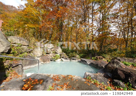 Japanese Hot Springs Japanese Hot Springs 119842949