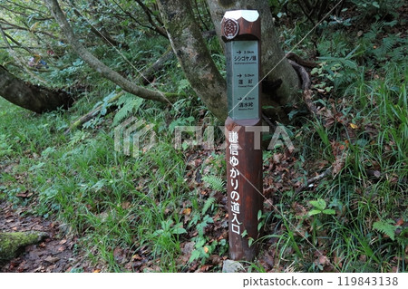 Trail  119843138
