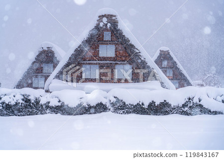 [世界遺產]白川鄉、三連莊大雪[岐阜縣] 119843167
