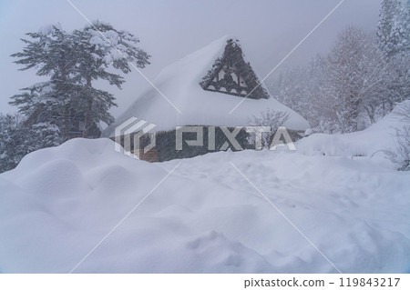 [World Heritage] Heavy snowfall in Shirakawa-go [Gifu Prefecture] 119843217