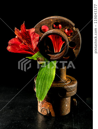 A still life capturing the contrast between the softness of nature and the ruggedness of industrial elements A still life capturing the contrast between the softness of nature and the ruggedness of industrial elements 119843377