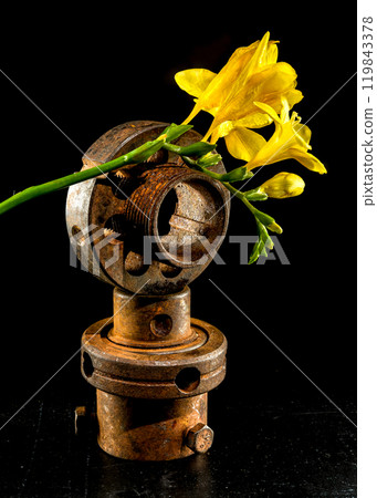 A still life capturing the contrast between the softness of nature and the ruggedness of industrial elements 119843378