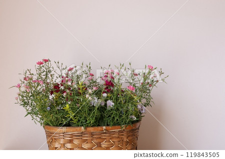 Small flower arrangement Small flower arrangement 119843505