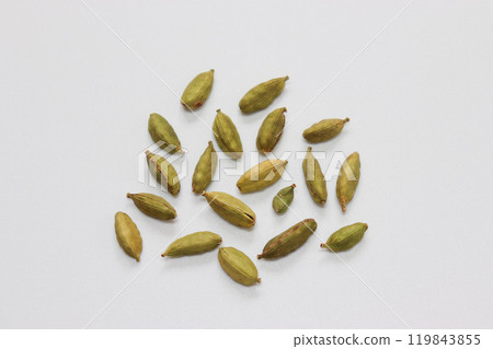 Image of cardamom 119843855