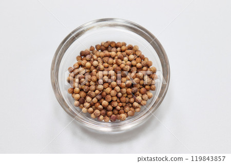 香菜籽的圖像 119843857