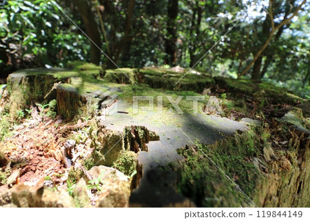 Climbing Mount Tsukuba in Ibaraki Prefecture in May 2024 Climbing Mount Tsukuba in Ibaraki Prefecture in May 2024 119844149