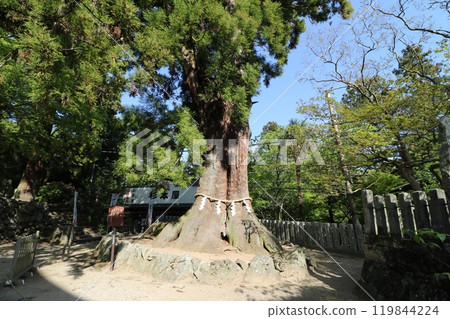 2024年5月攀登茨城縣筑波山 2024年5月攀登茨城縣筑波山 119844224