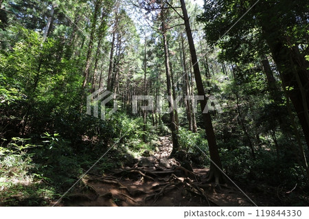 Climbing Mount Tsukuba in Ibaraki Prefecture in May 2024 119844330