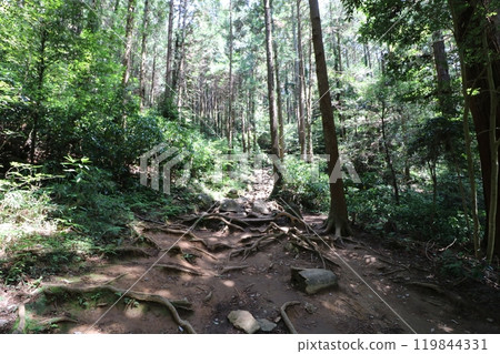 Climbing Mount Tsukuba in Ibaraki Prefecture in May 2024 119844331