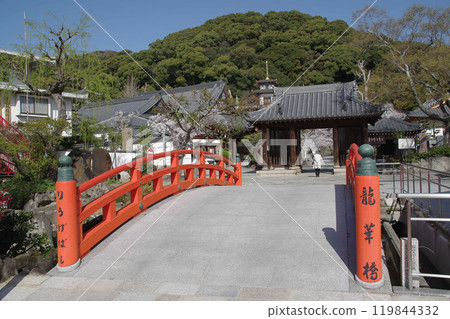 Suma Temple/Ryukabashi 119844332