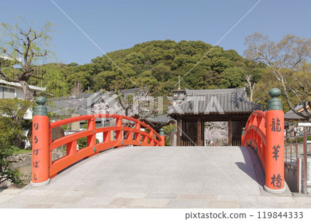 Suma Temple/Ryukabashi 119844333