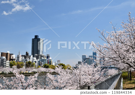 Buildings near Tenmabashi [Chuo-ku, Osaka City, Osaka Prefecture] 119844334